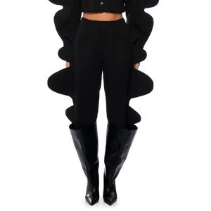 AKIRA Big Statement Energy pants